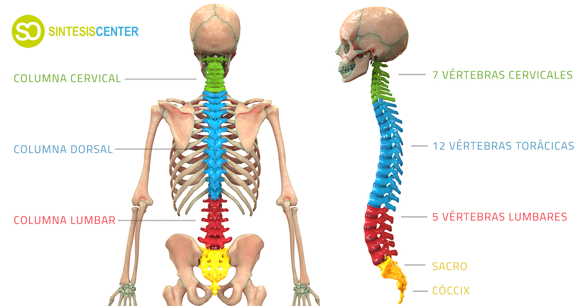 Dolor de barriga y ruido de tripas