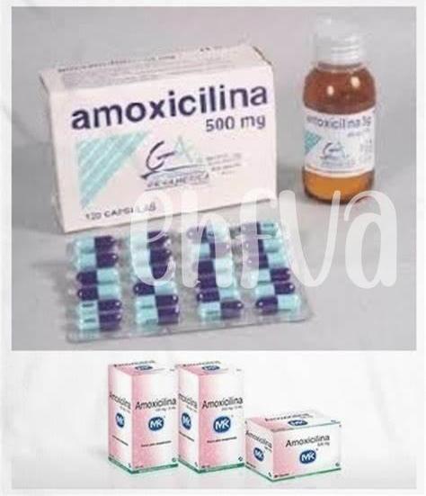 Estrategias Para Prevenir La Resistencia a Antibióticos