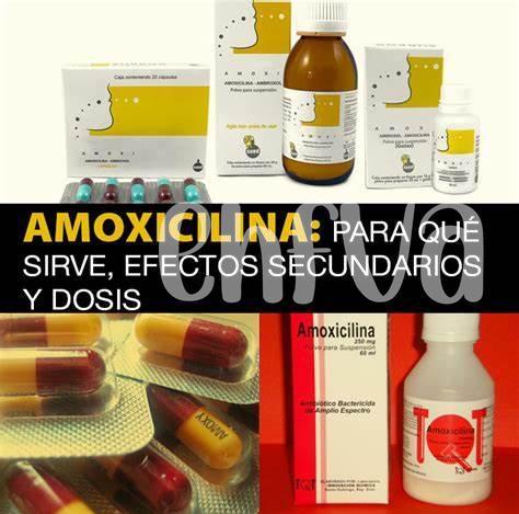 La Evolución De Las Bacterias Frente a La Amoxicilina